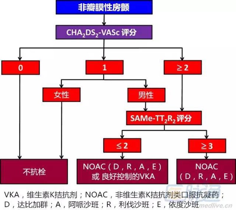 房颤抗凝管理
