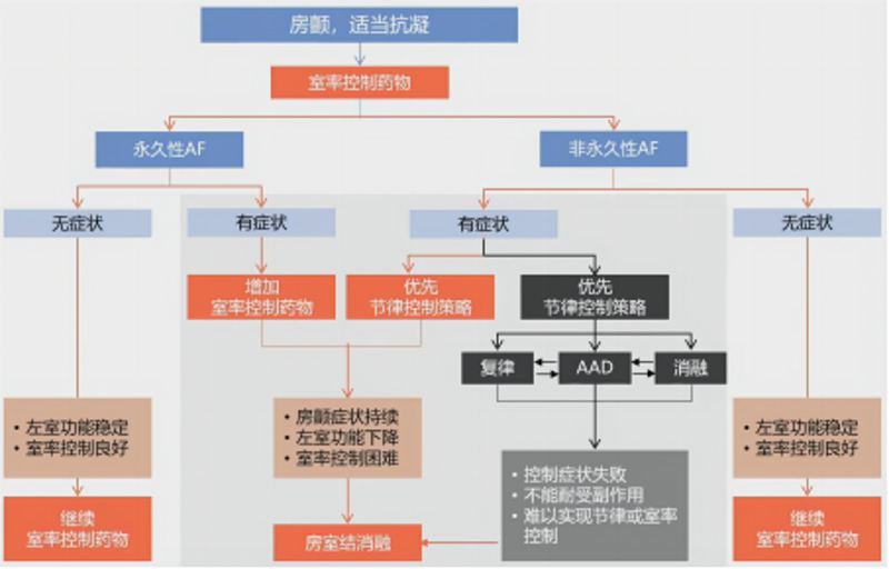广州抗凝门诊：寻找安全高效的治疗之路