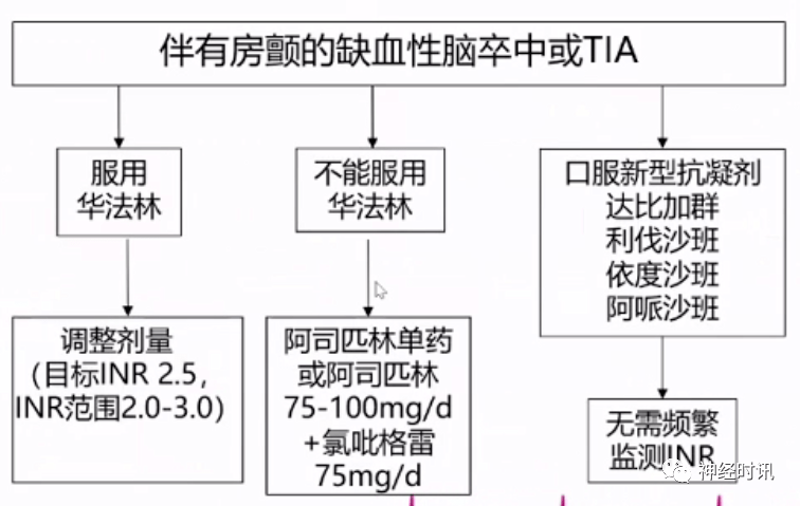 华法林监测