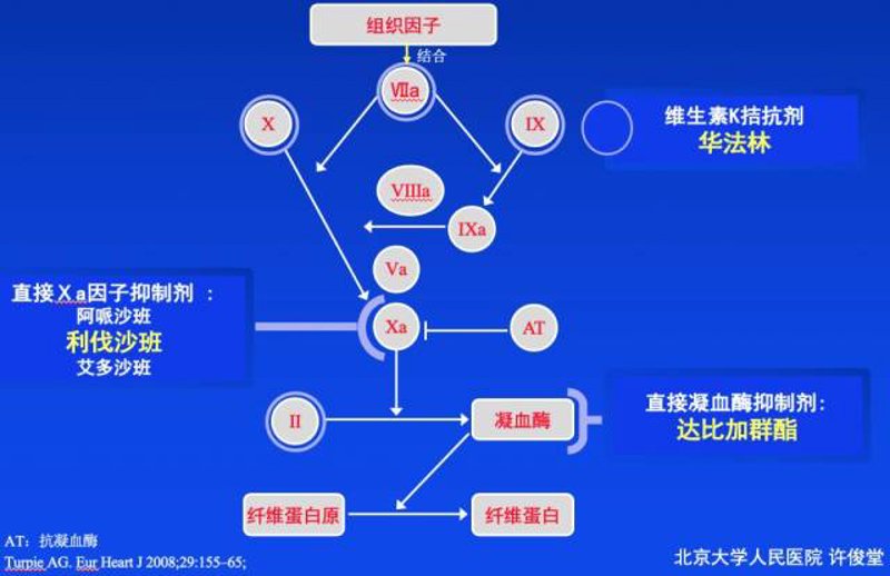 新型口服抗凝药